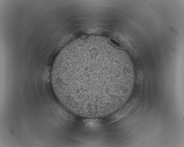 X0000111880273200908131640