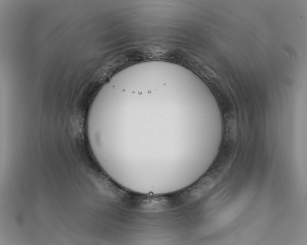 X0000111880274200908131640