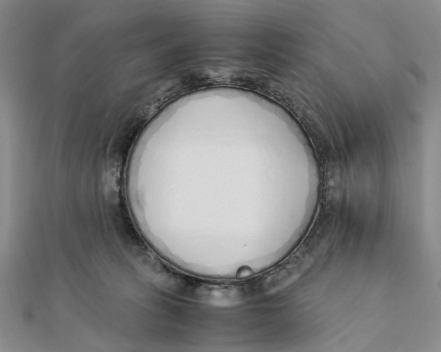 X0000111880275200908131640