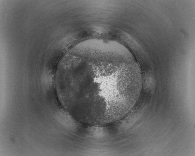X0000111880276200908131640