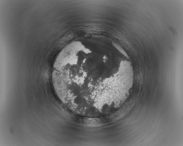 X0000111880277200908131640