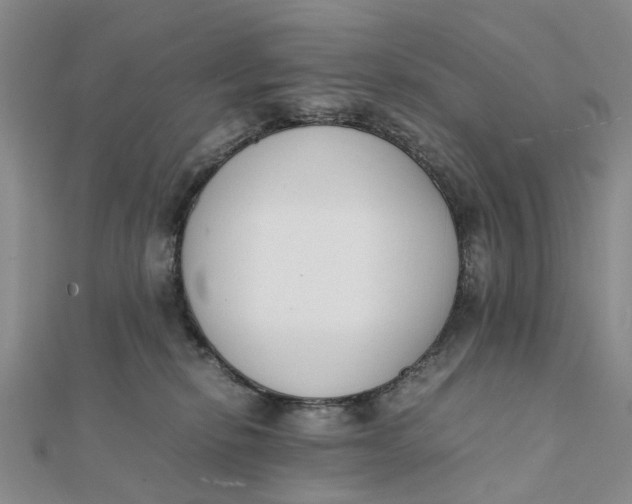 X0000111880278200908131640