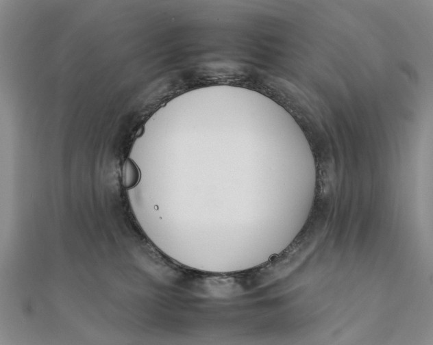 X0000111880279200908131640