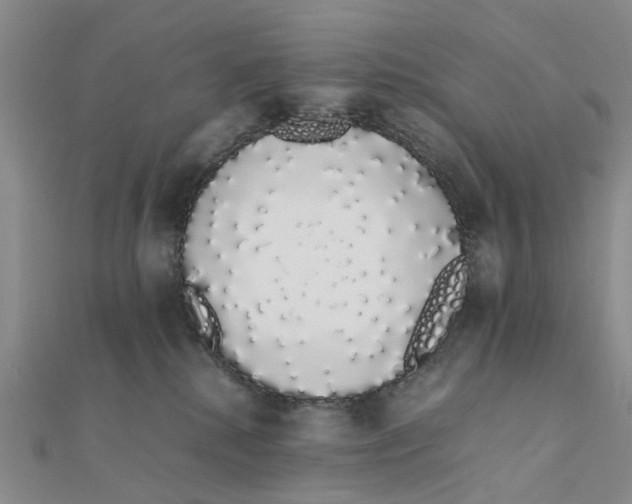X0000111880280200908131640