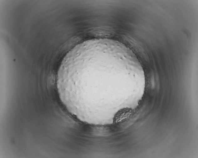 X0000111880281200908131640