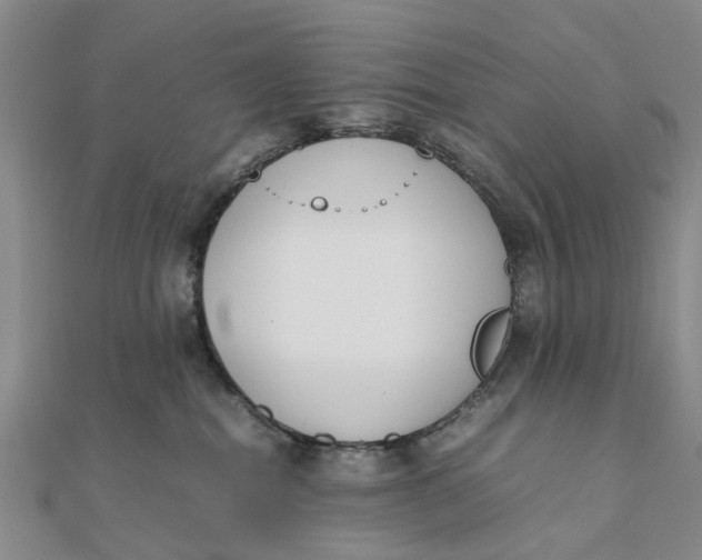 X0000111880282200908131640