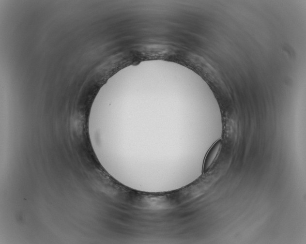 X0000111880283200908131640