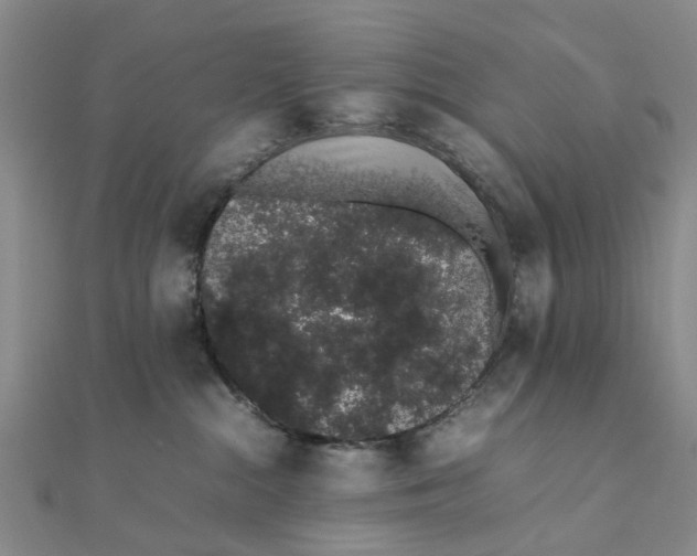 X0000111880284200908131640