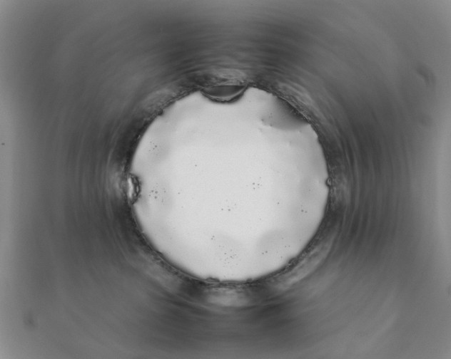 X0000111880285200908131640