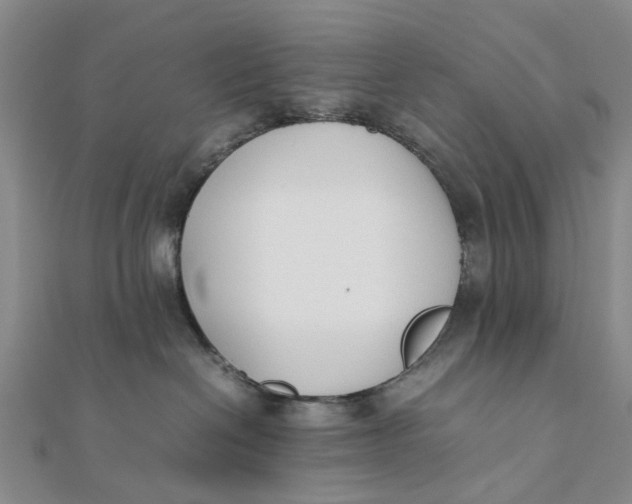 X0000111880286200908131640