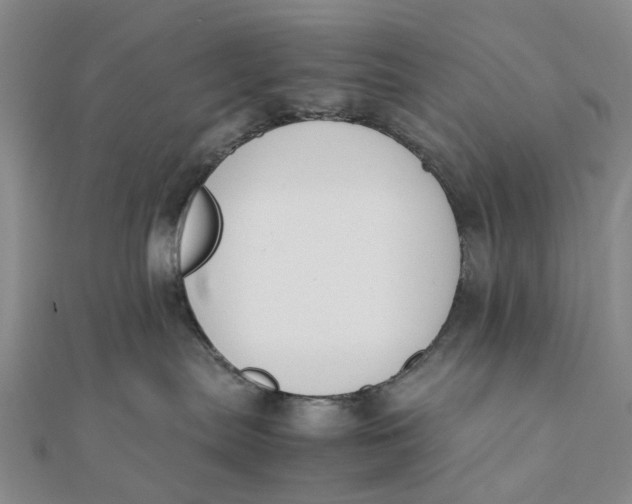 X0000111880287200908131640
