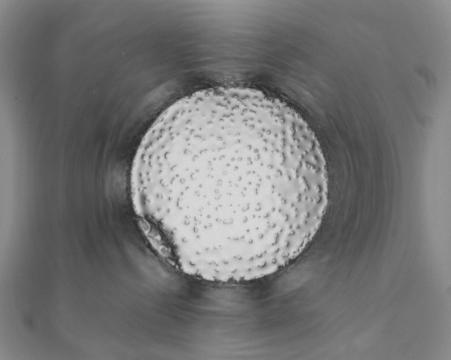 X0000111880288200908131640