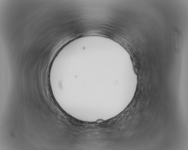 X0000111880289200908131639