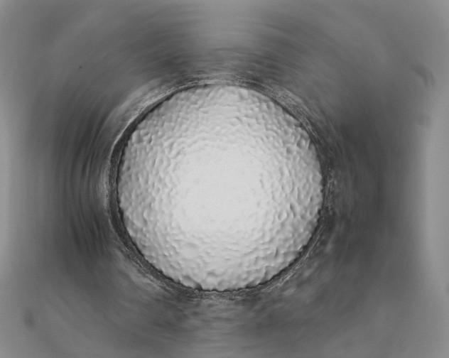 X0000111880290200908131639