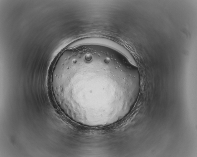 X0000111880292200908131639