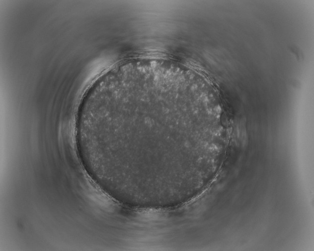 X0000111880293200908131639