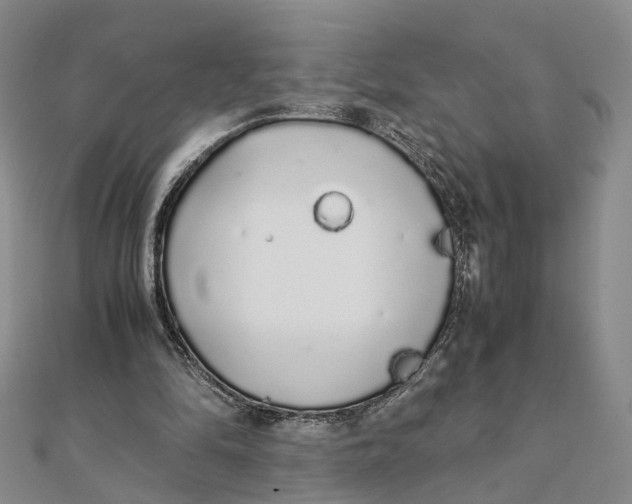 X0000111880294200908131639