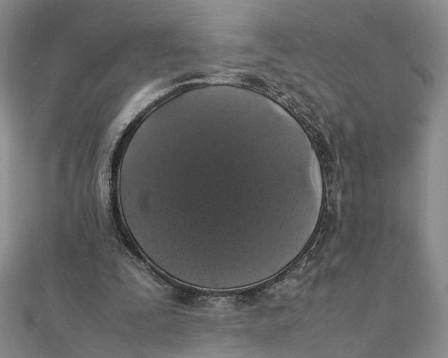 X0000111880295200908131639