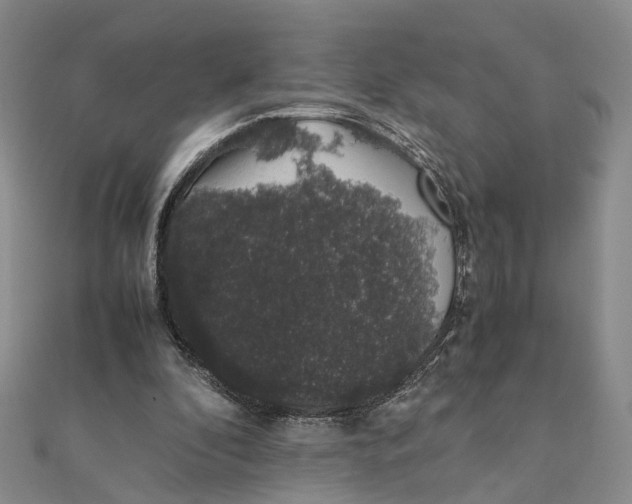 X0000111880296200908131639