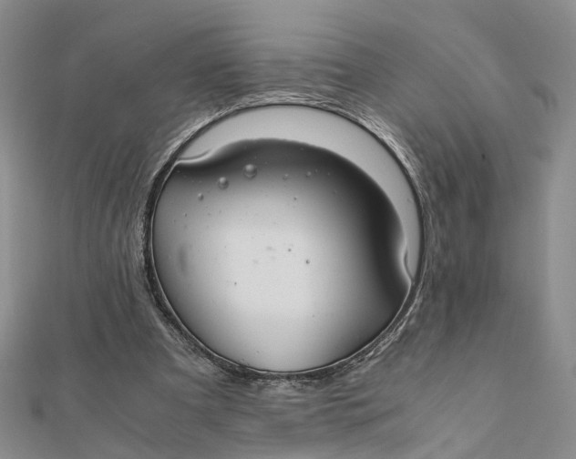 X0000111880297200908131639