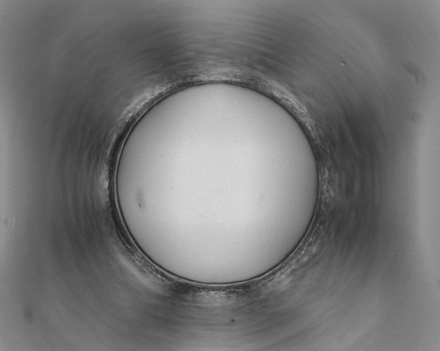 X0000111880298200908131639