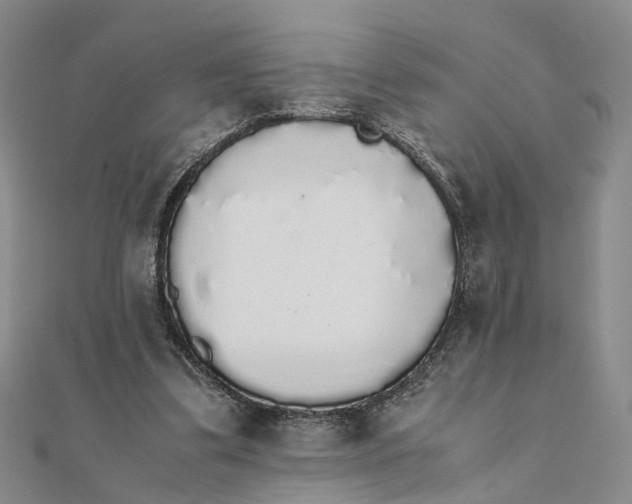 X0000111880299200908131639