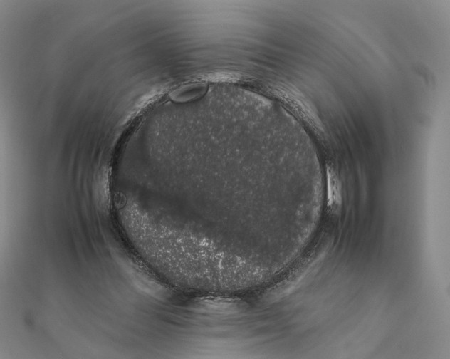 X0000111880300200908131639