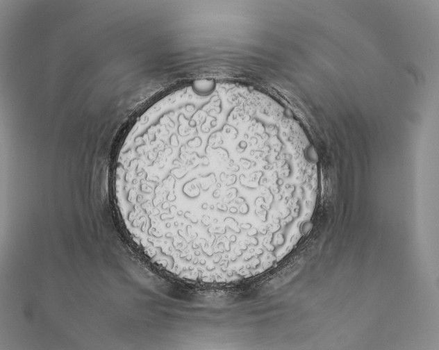 X0000111880301200908131639