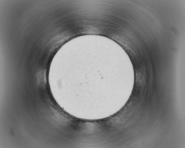 X0000111880302200908131639