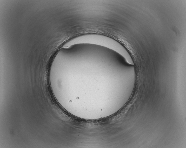 X0000111880305200908131639
