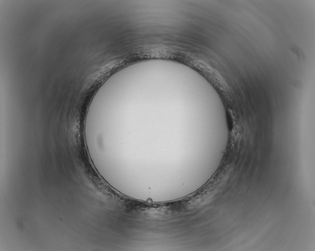 X0000111880306200908131639
