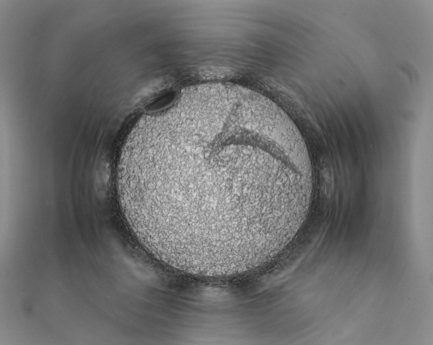 X0000111880308200908131639
