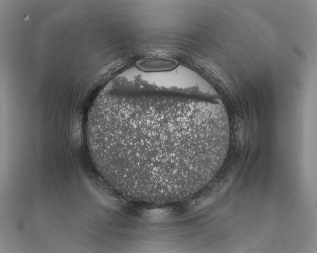 X0000111880312200908131639