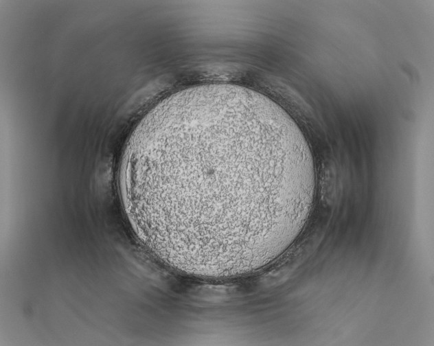 X0000111880314200908131639