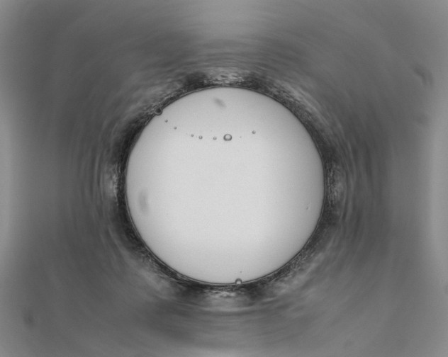 X0000111880315200908131639