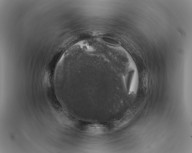 X0000111880316200908131639