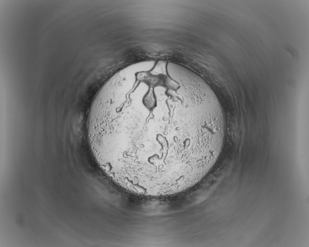X0000111880319200908131639