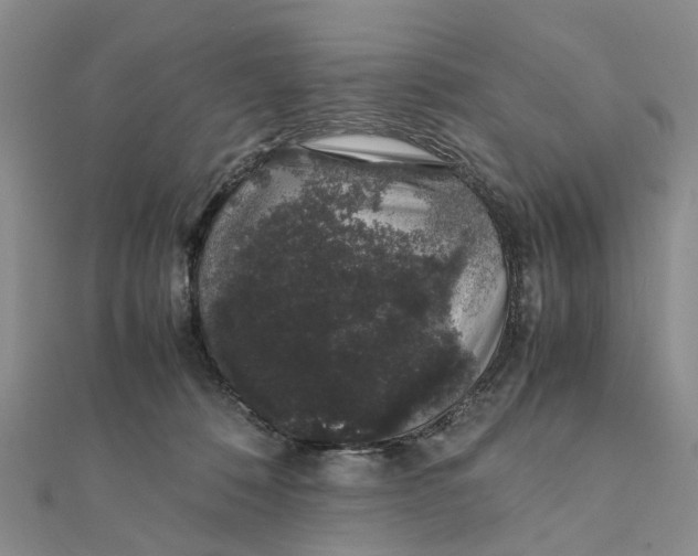 X0000111880320200908131639