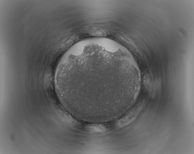 X0000111880322200908131639