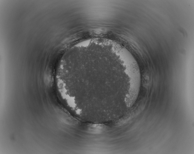 X0000111880324200908131639