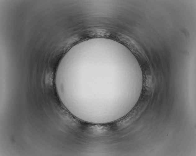 X0000111880326200908131639
