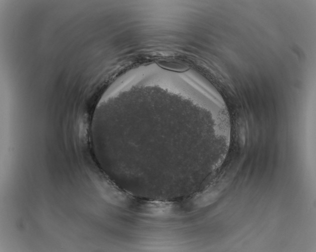 X0000111880328200908131639