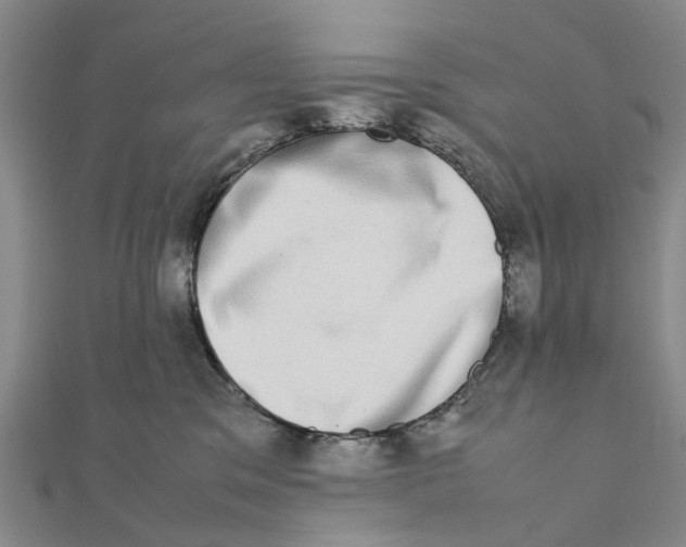 X0000111880329200908131639