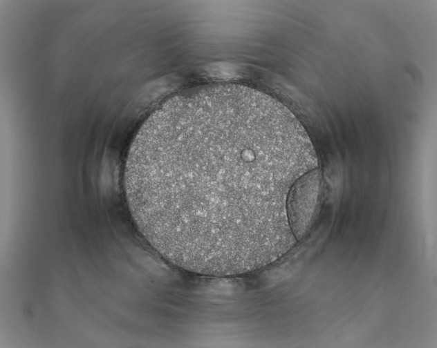 X0000111880330200908131639