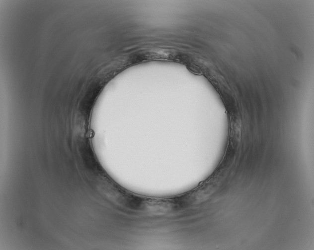 X0000111880331200908131639