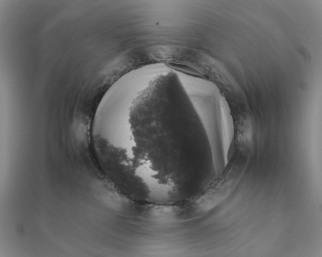 X0000111880332200908131639