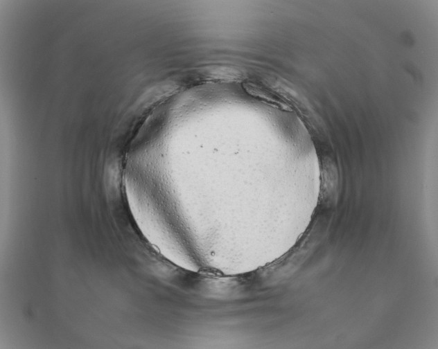 X0000111880333200908131639
