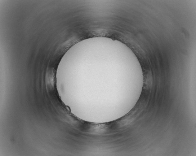 X0000111880334200908131639