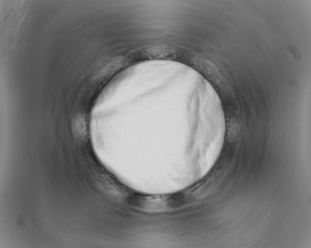 X0000111880335200908131639