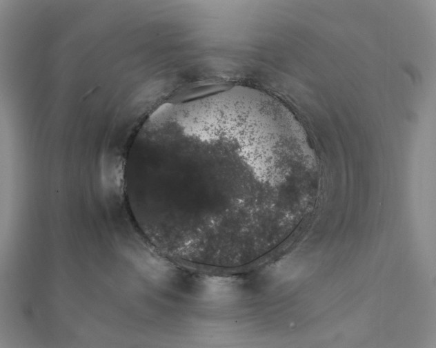 X0000111880336200908131639